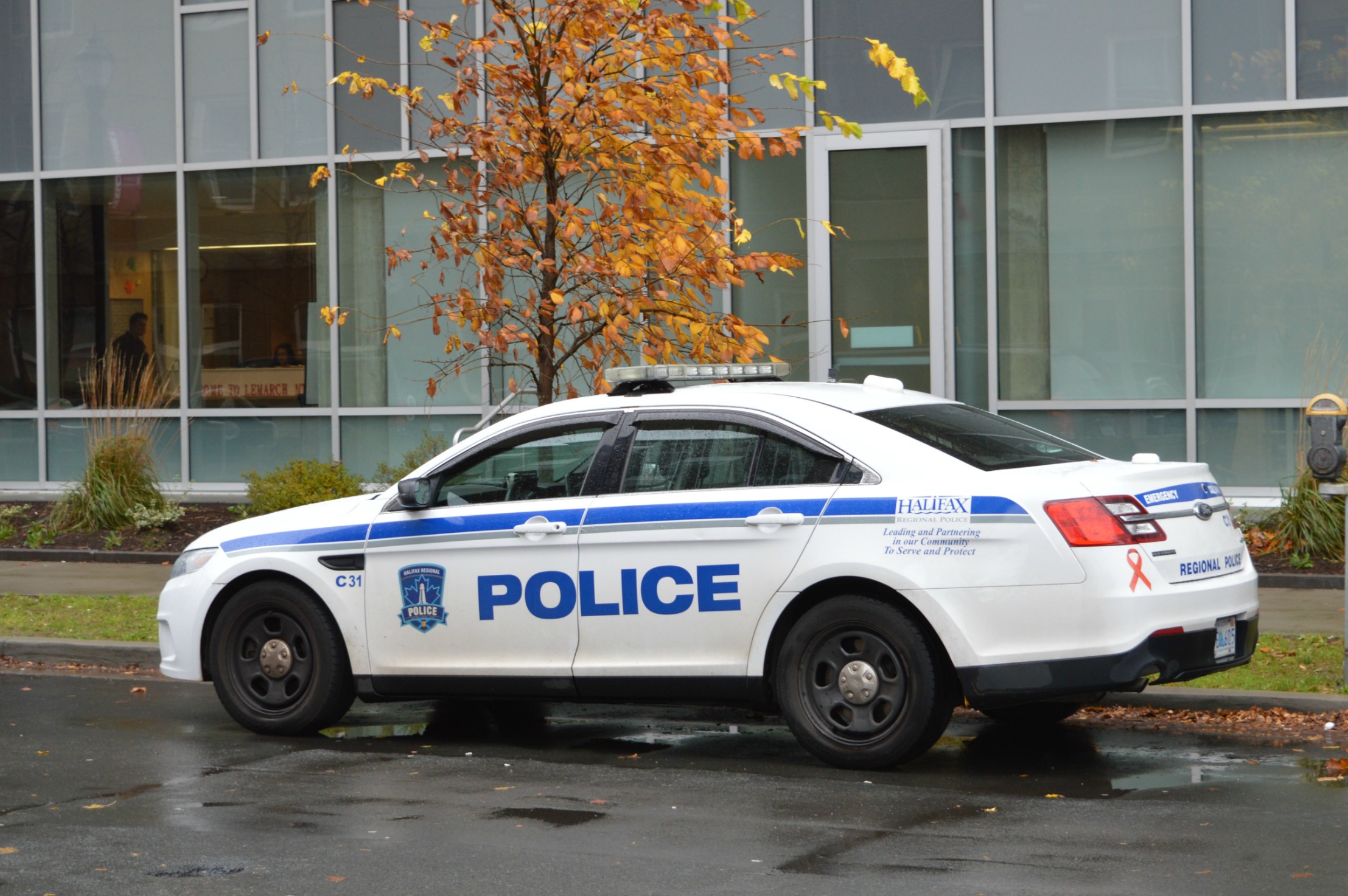 beaten-blue-halifax-police-assaulted-at-a-higher-rate-than-anywhere-in-atlantic-canada-david